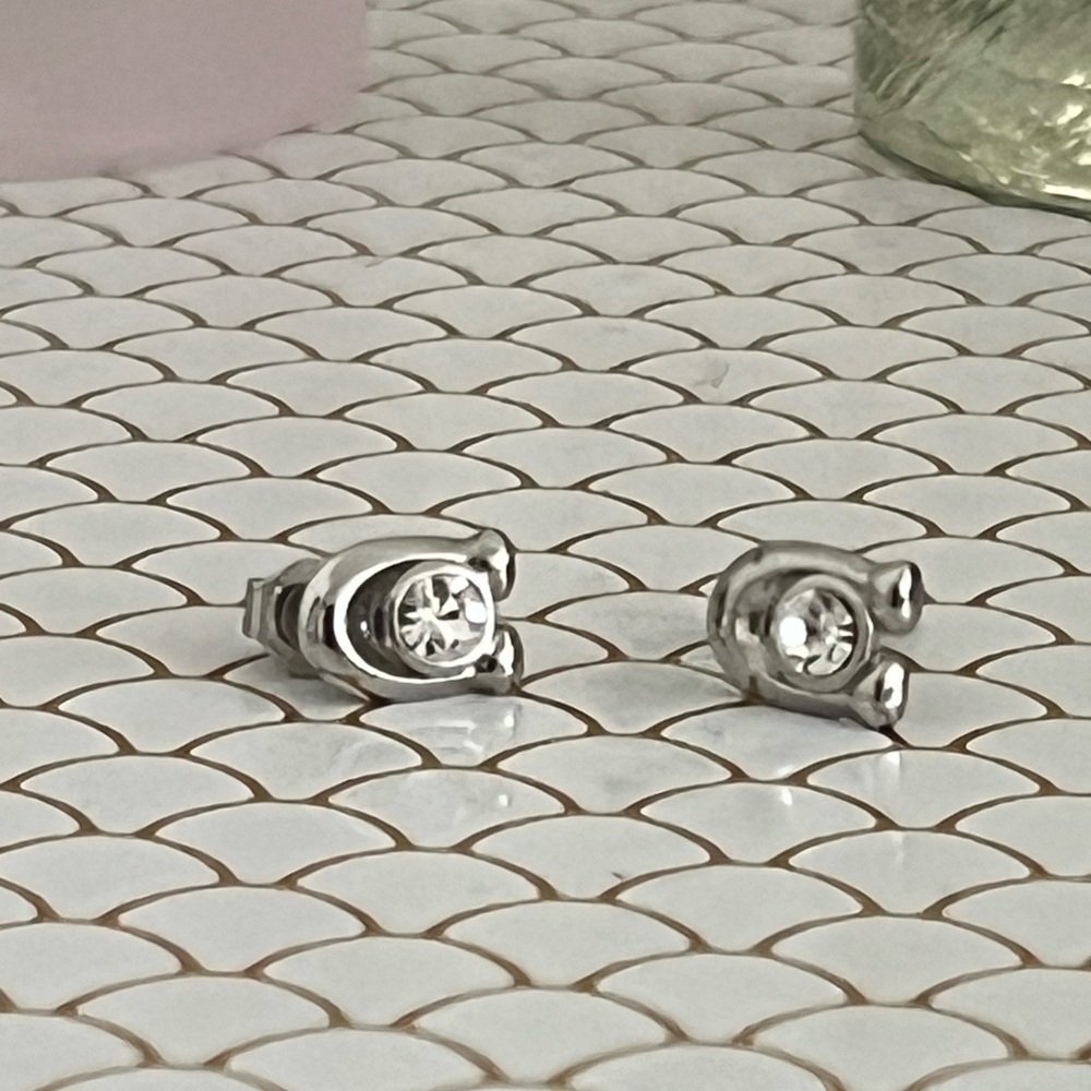 Elegant Coach Silver Stud Earrings